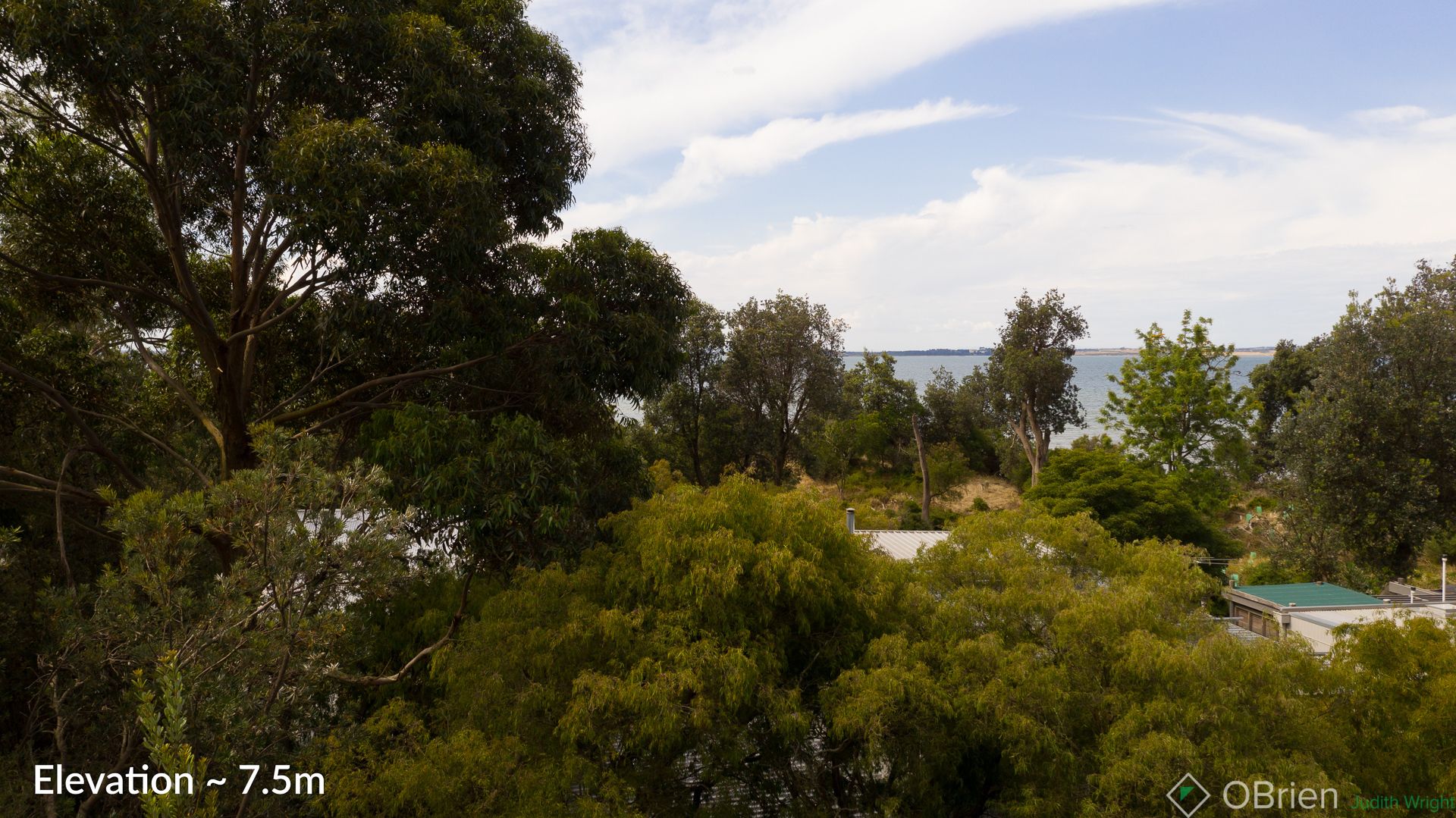 20 Woodland Avenue, Silverleaves VIC 3922, Image 1