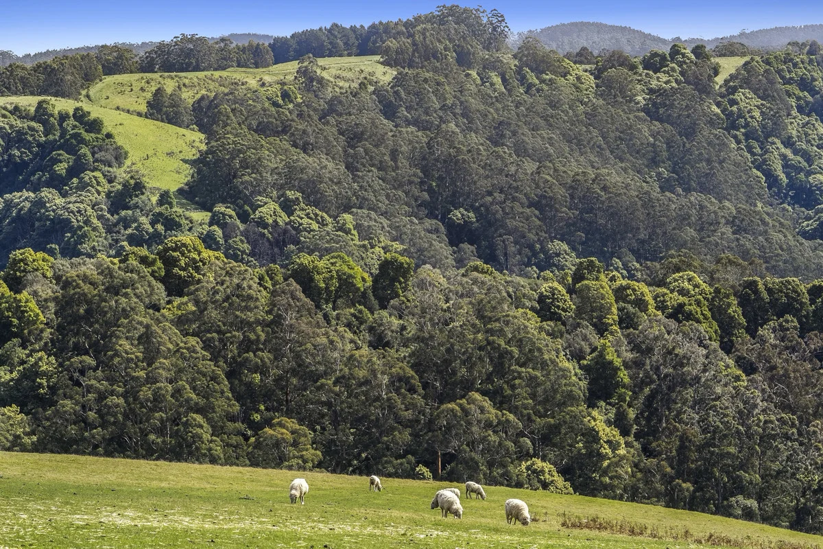 Image 14