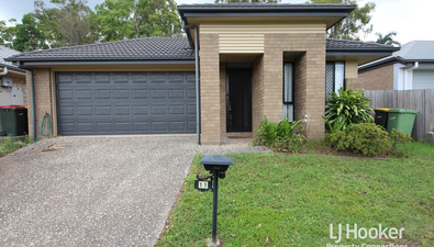 Picture of 11 Chamomile Street, GRIFFIN QLD 4503