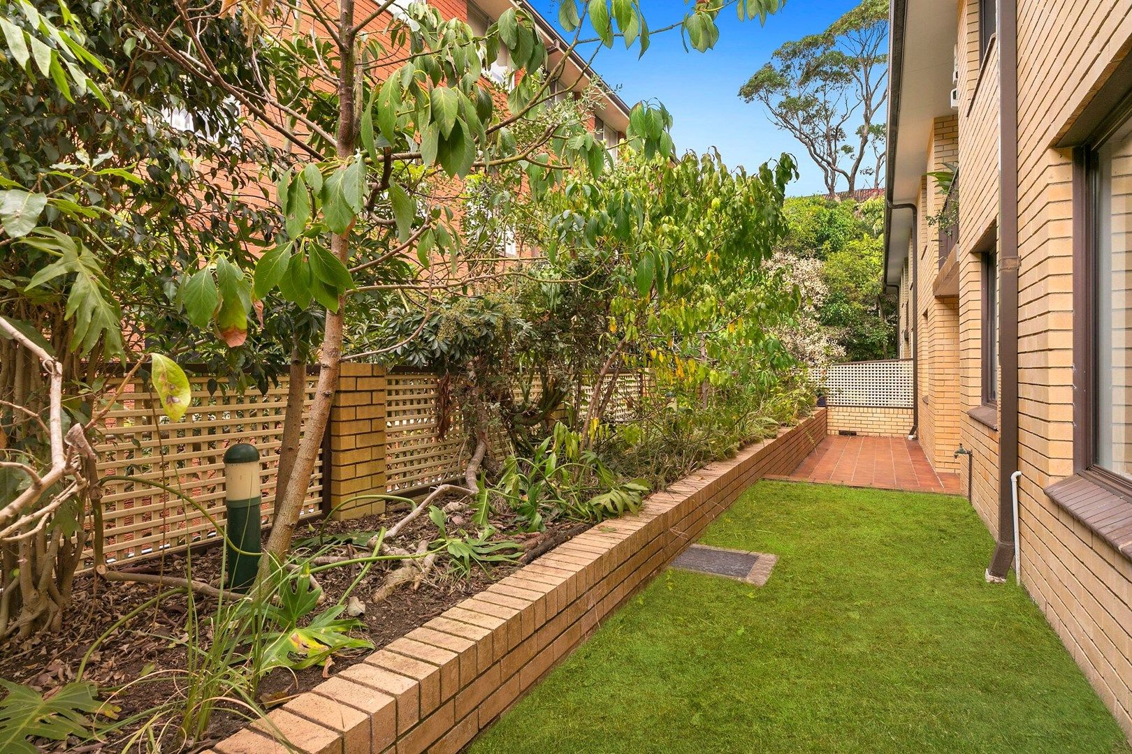 5/156 Oberon Street, Coogee NSW 2034, Image 1