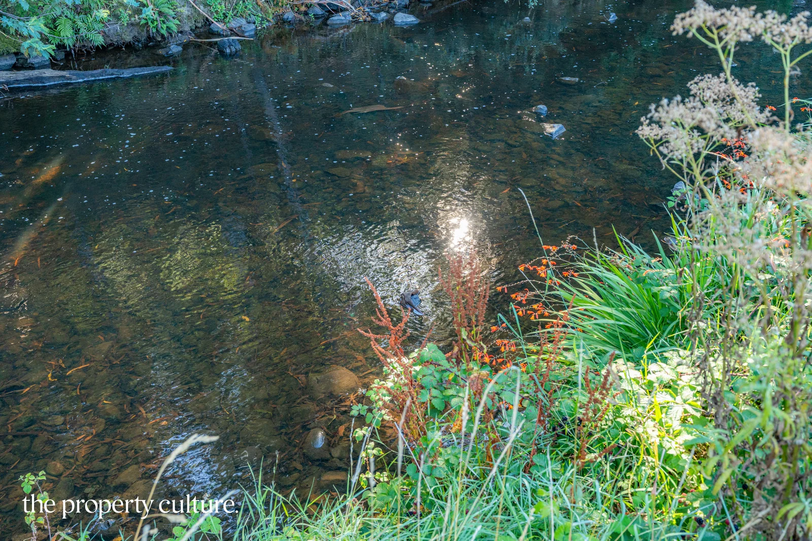 Additional image 11 of 6 Arve Road, Geeveston TAS 7116