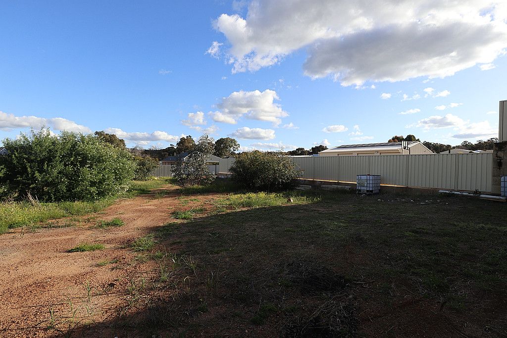 8787A Forrest Street, Narrogin WA 6312 Domain