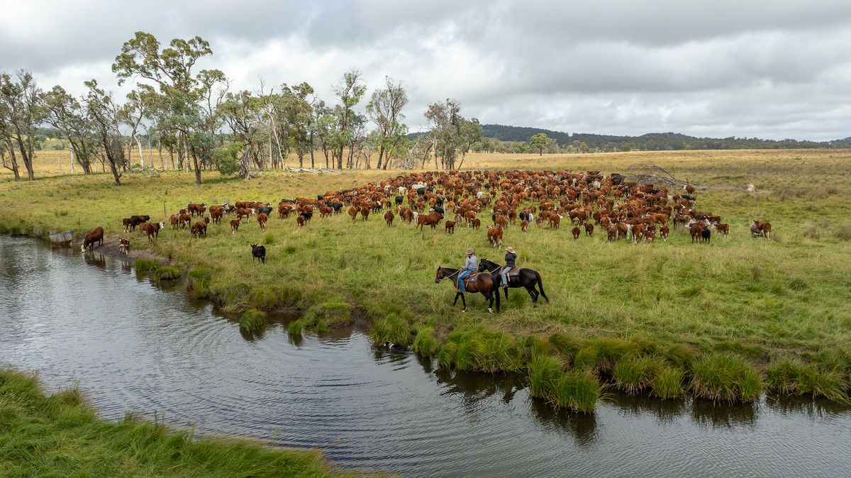 161 Nine Mile Road, Dundee NSW 2370, Image 0