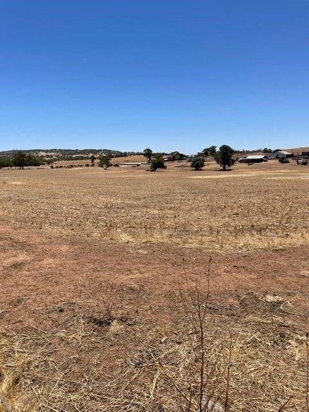 Lot 58 OSBORN ROAD, Mount Hardey WA 6302, Image 0