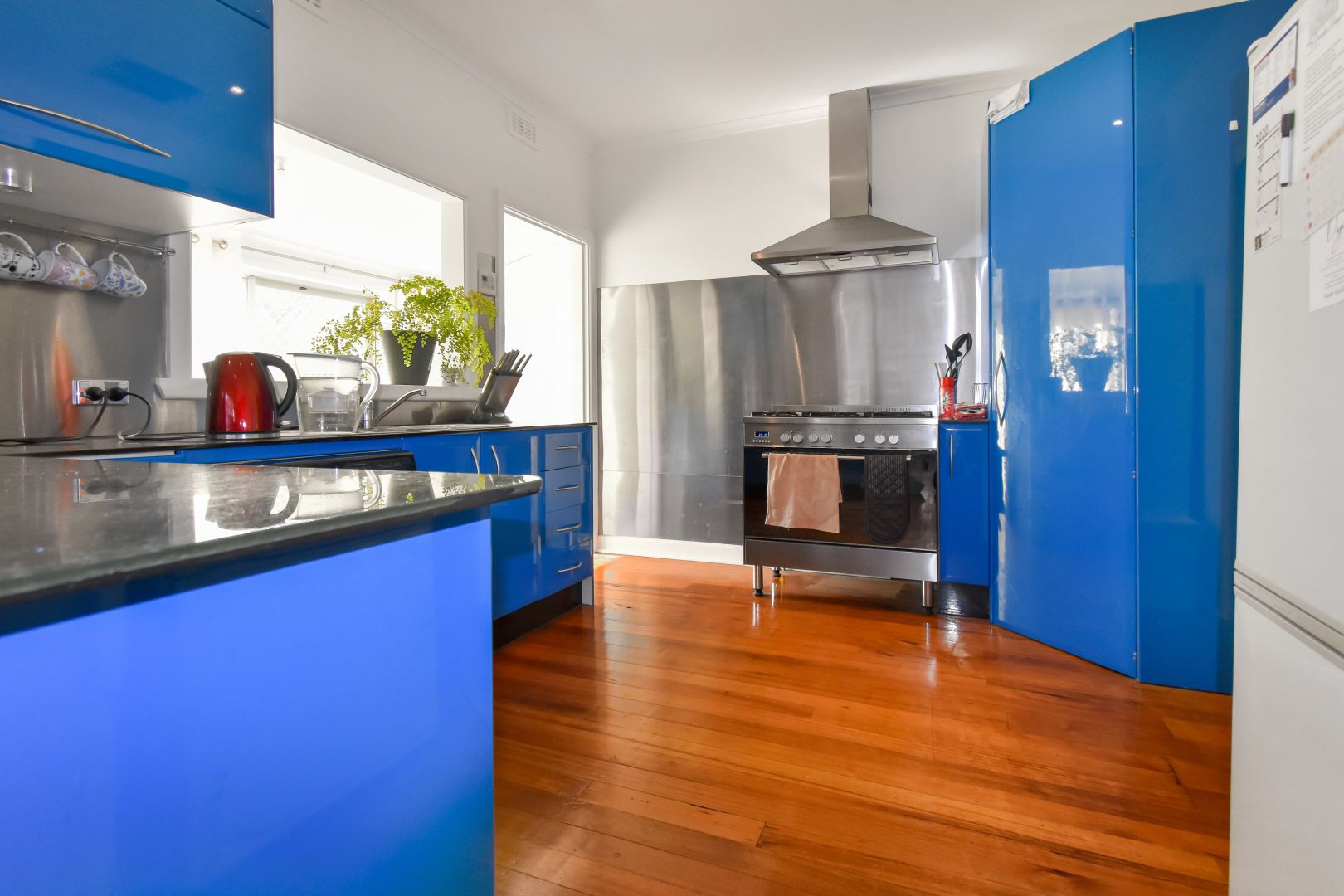 1/2 Alwyn Court Mitcham VIC 3132 Apartment For Rent $600 Domain