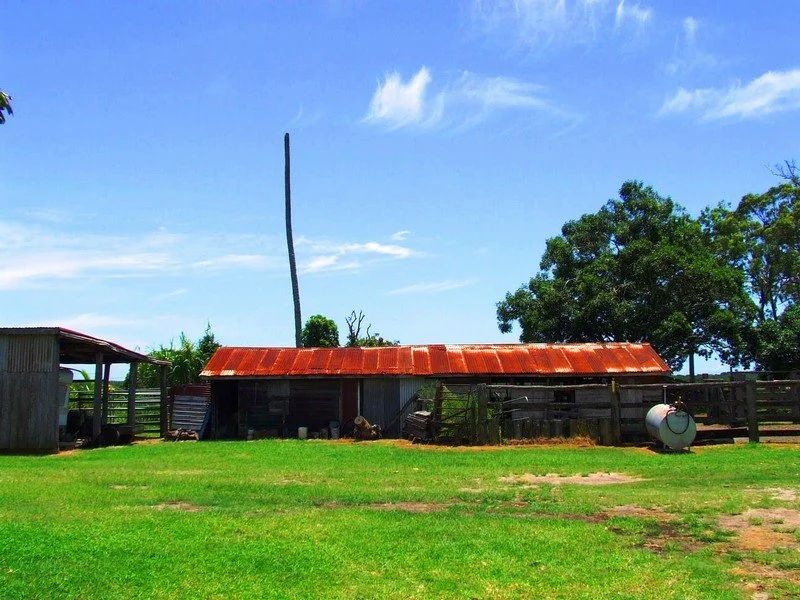 Image 6