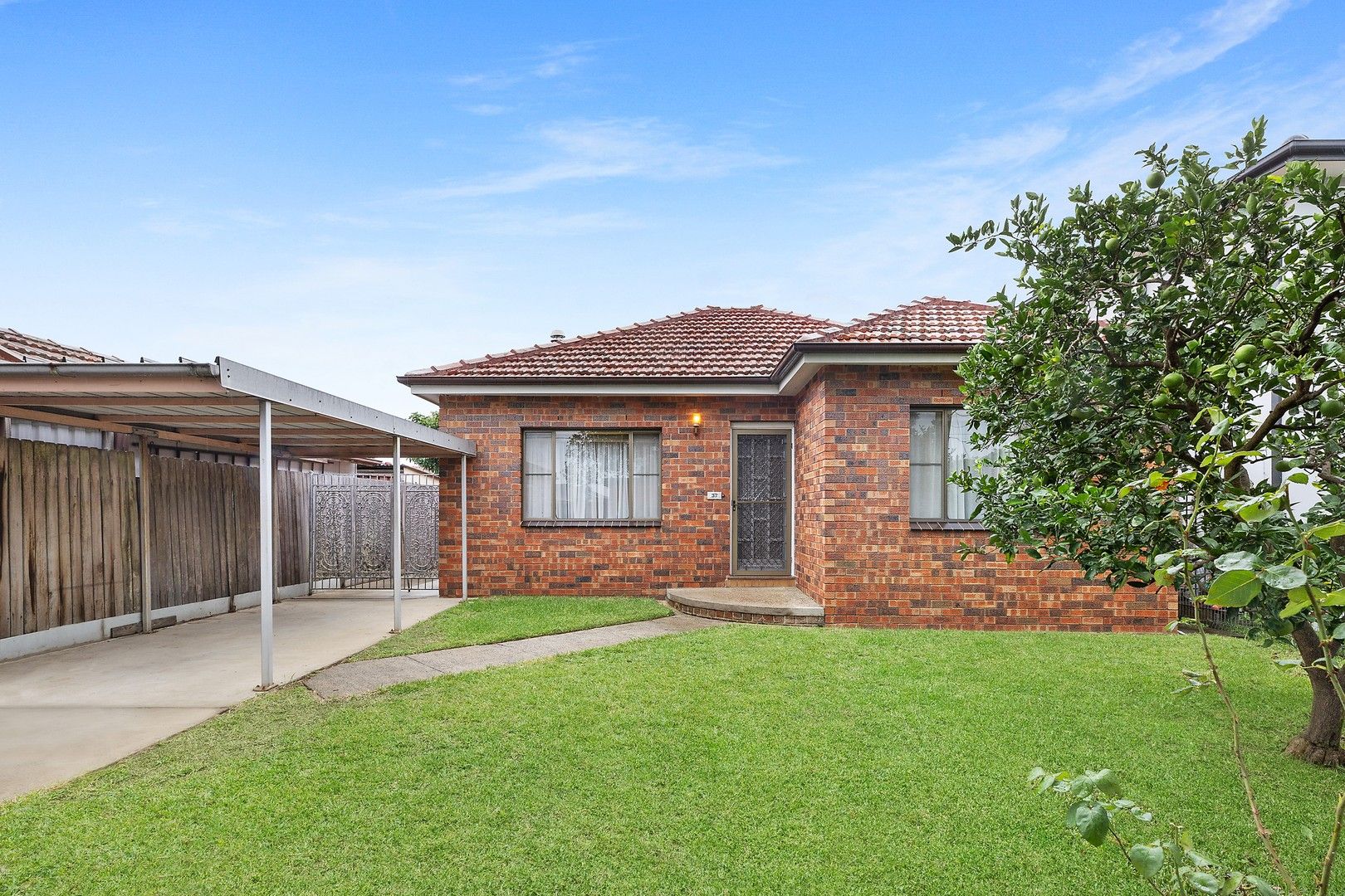 37 Ferrier Parade, Clemton Park NSW 2206, Image 0