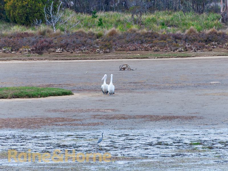 53 Franklin Street, Triabunna TAS 7190, Image 1