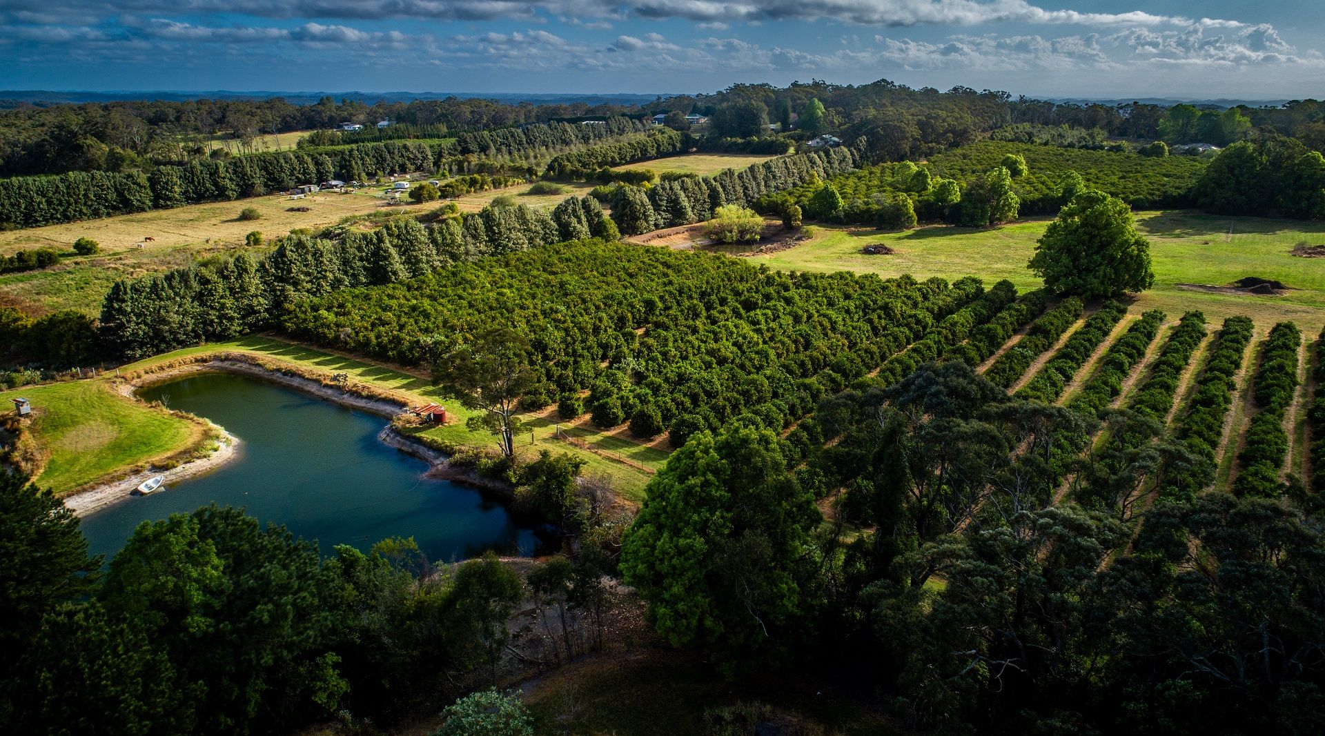 'Wyuna Farms' 982-988 George Downes Drive, Kulnura NSW 2250, Image 1