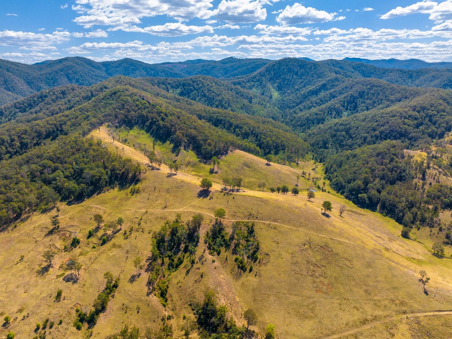 Lot C Big Run Road, Wherrol Flat NSW 2429, Image 0