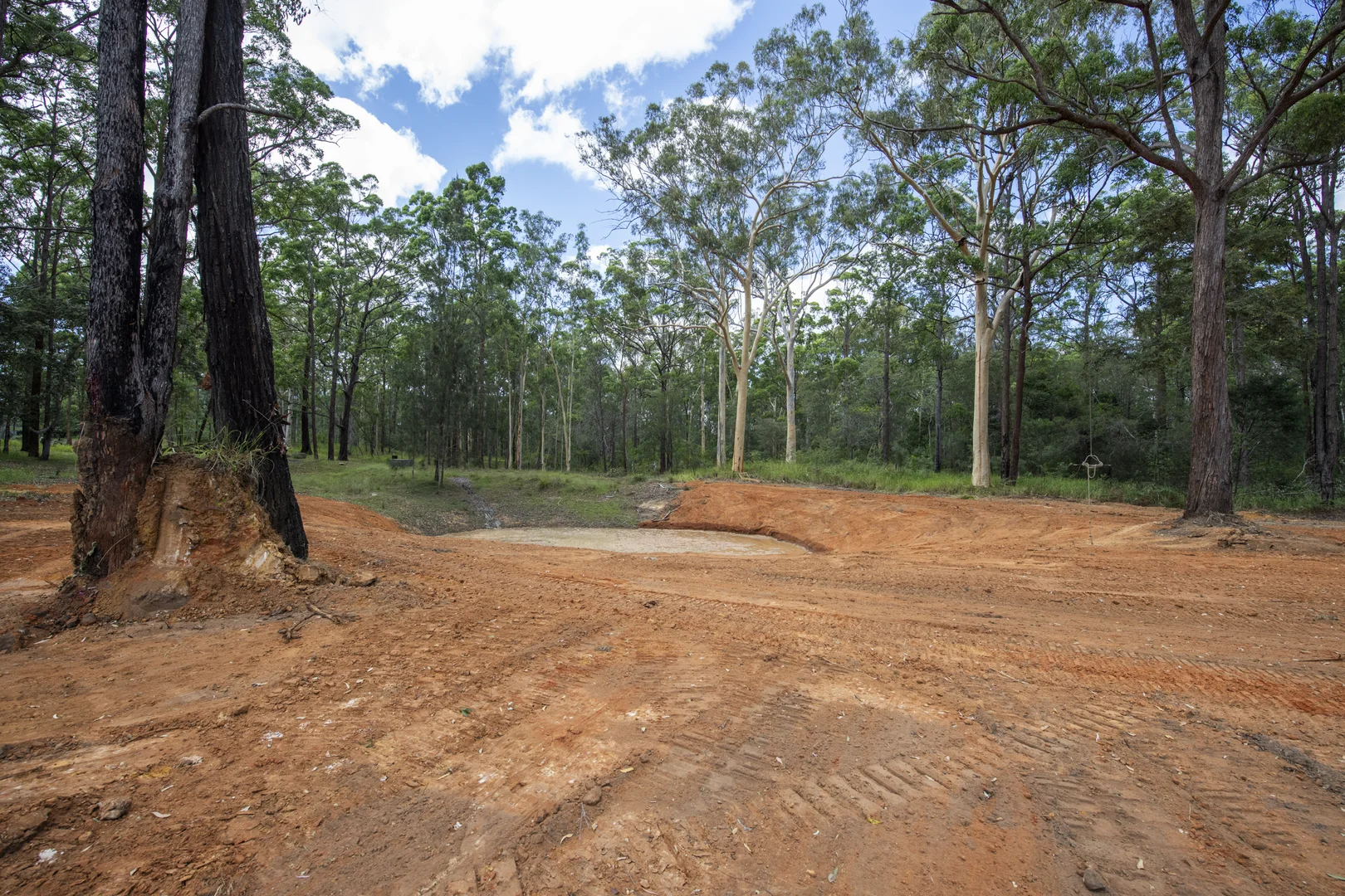 Image 11