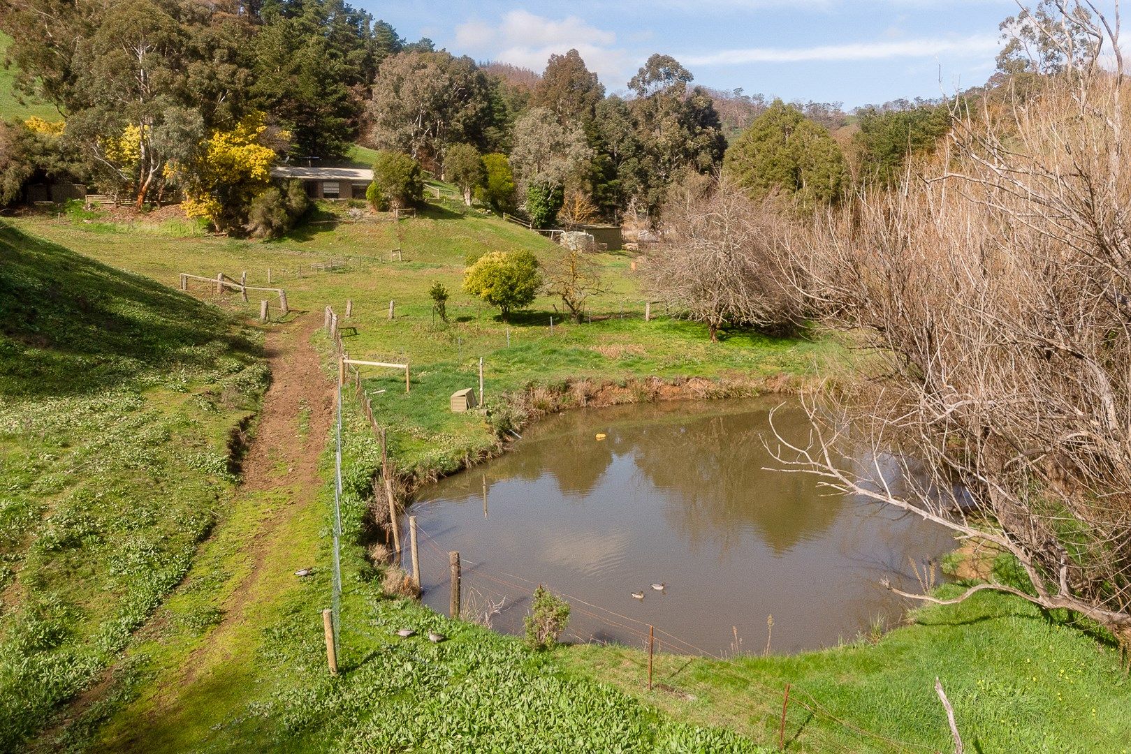 209 HOLLANDS CREEK ROAD, Cudlee Creek SA 5232, Image 0