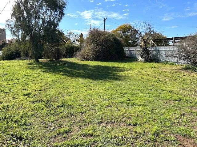 Image 20