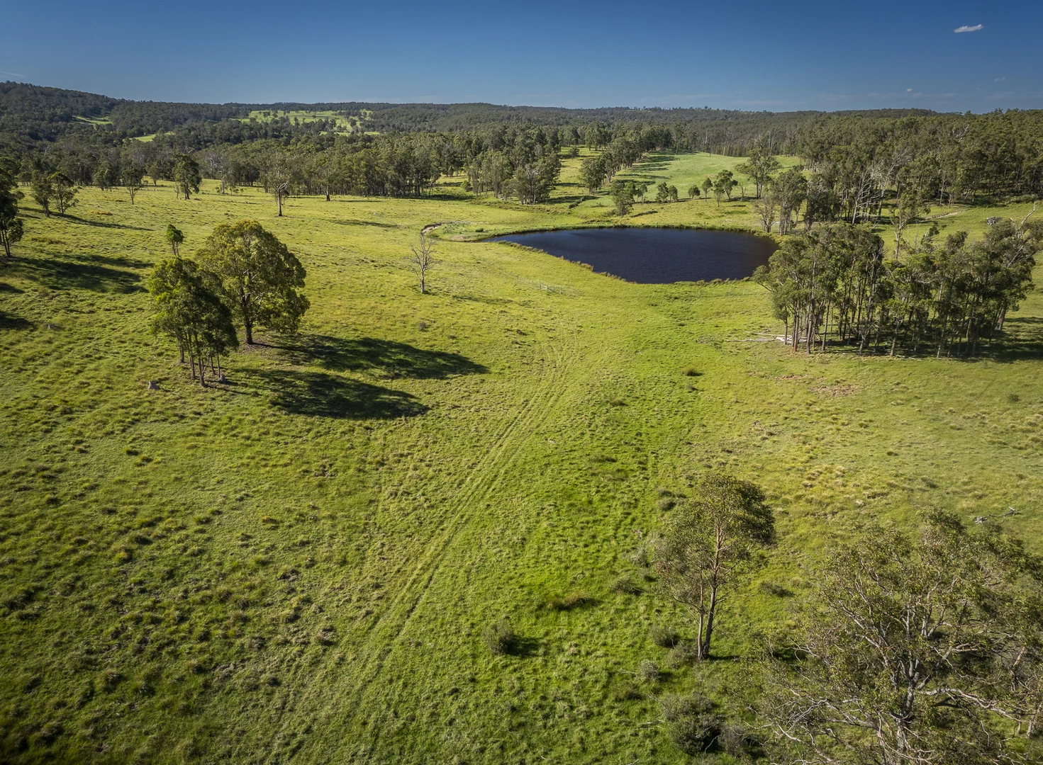 Additional image 8 of 161 Hickeys Road, Wongwibinda NSW 2350