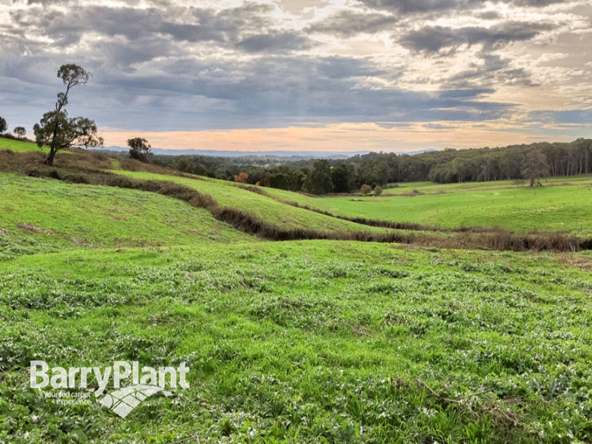 Lot 3 Ure Road, Gembrook VIC 3783, Image 1