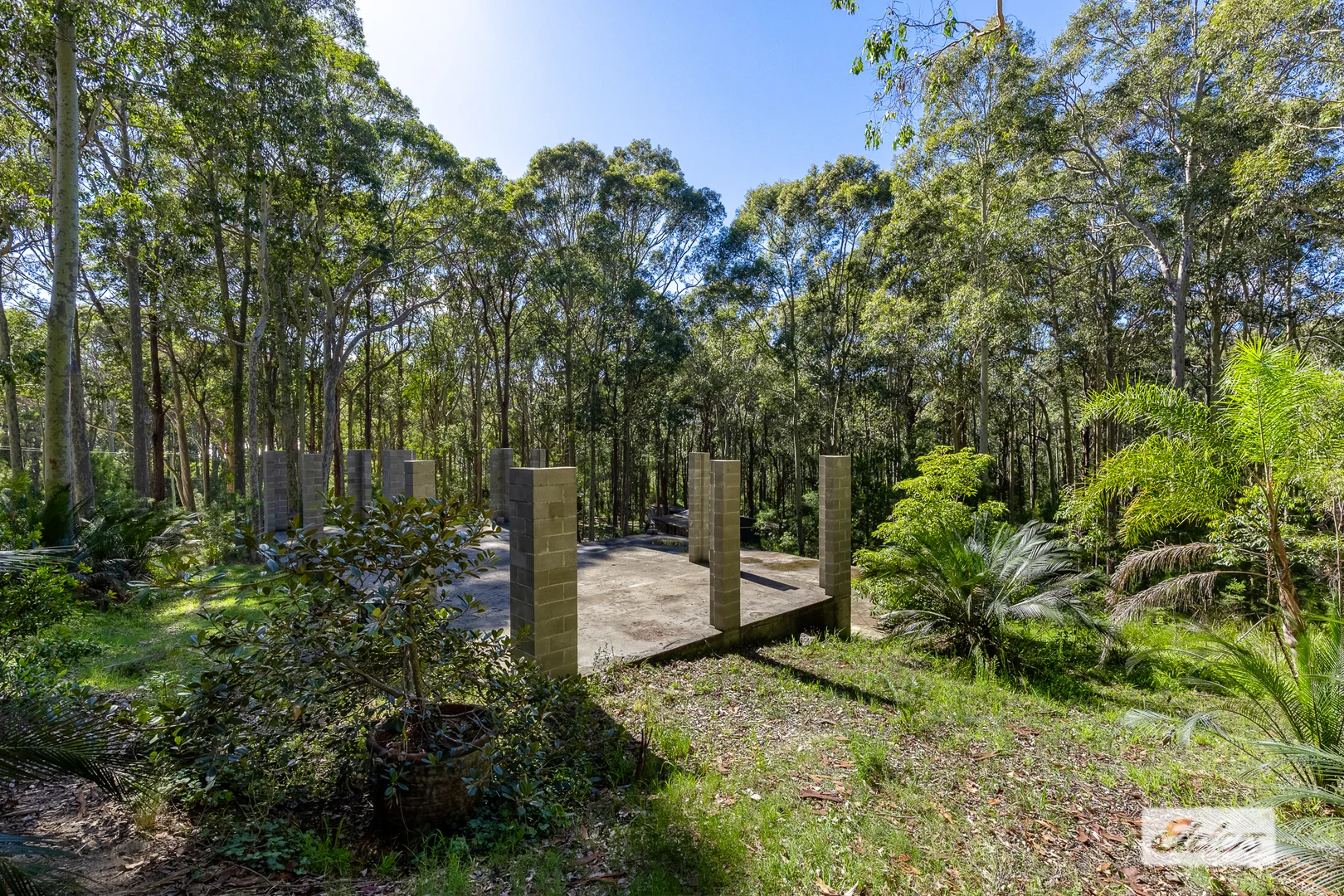 Image 8
