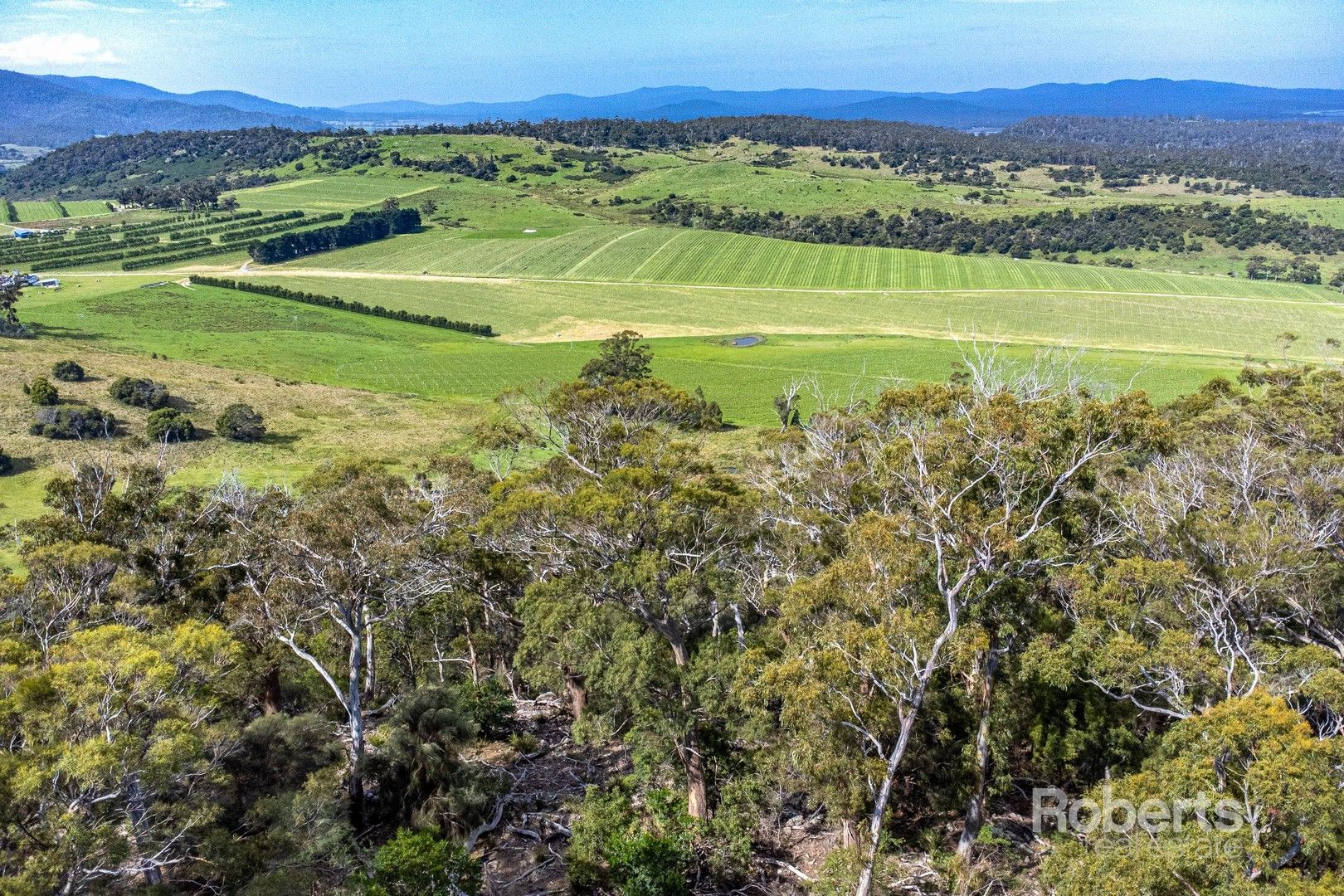 PID 7213543 Tasman Highway, Apslawn TAS 7190, Image 0