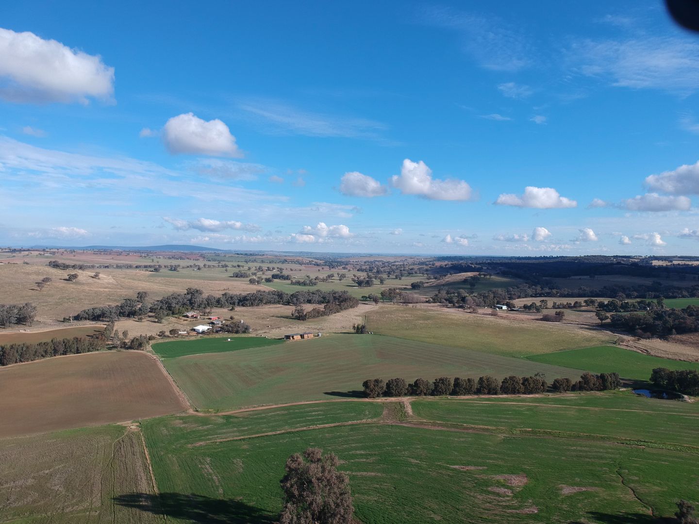 5 bedrooms Farm in  COWRA NSW, 2794