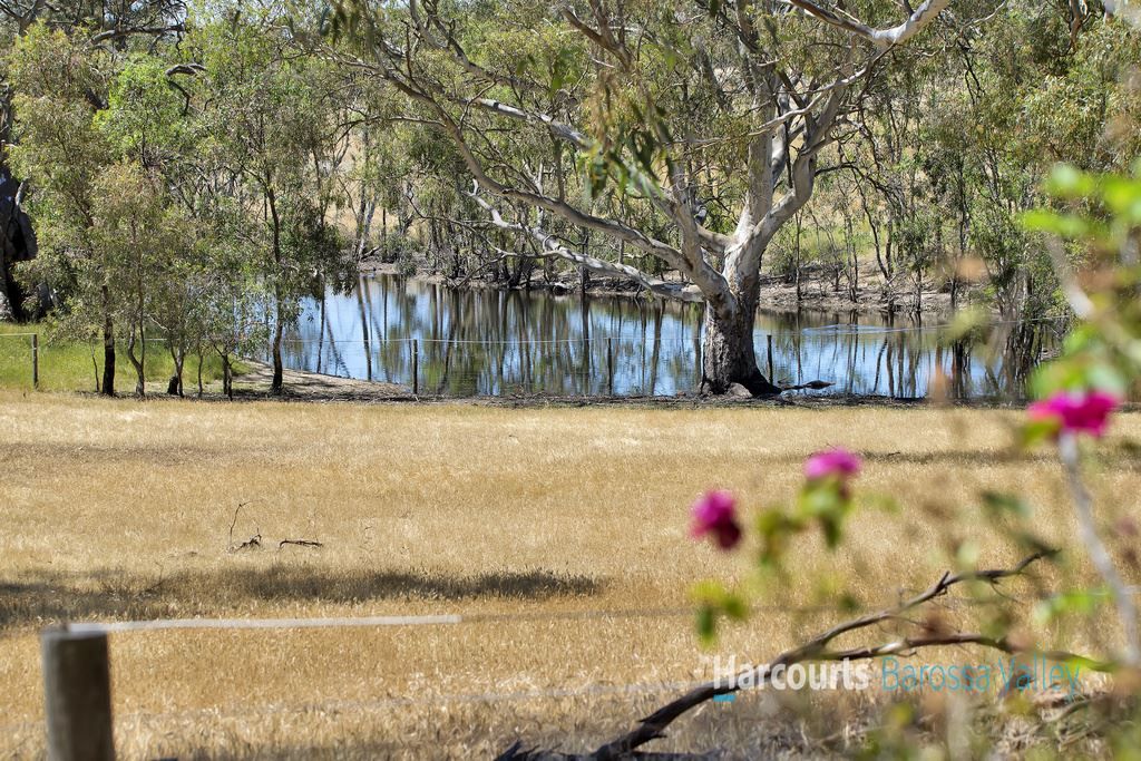 Sec 975 Peggy's Hill Road, Via Eden Valley, Flaxman Valley SA 5235, Image 1