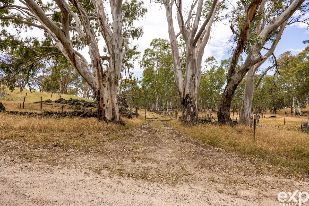 Image 15