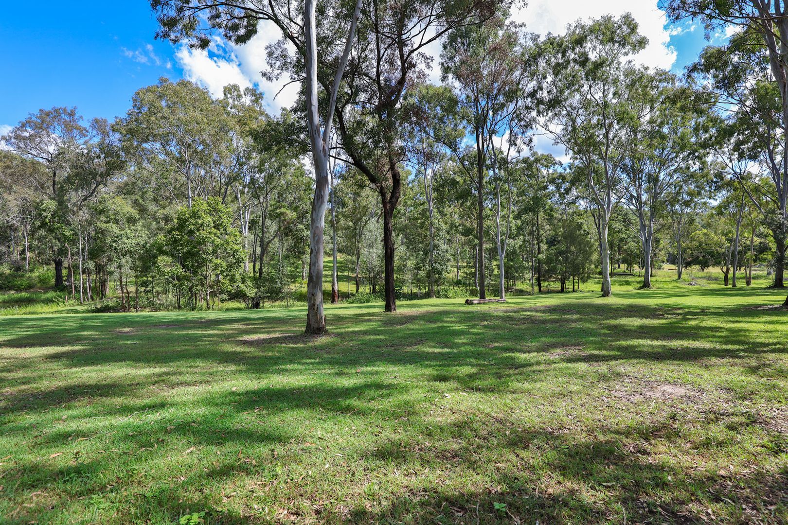 78-106 Curtis Road, Cedar Creek QLD 4207, Image 1