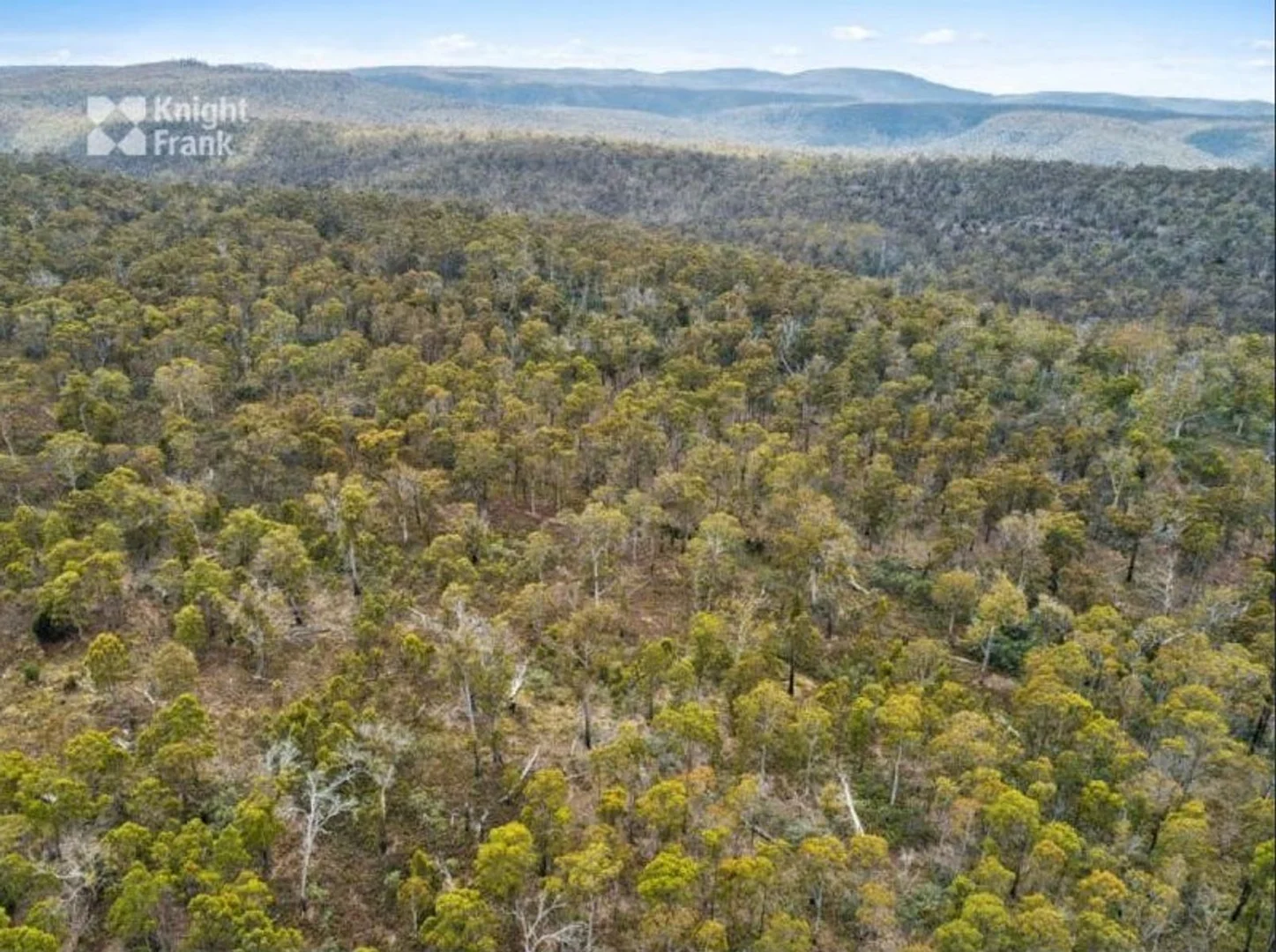 Additional image 20 of 1 Buckland Road, Buckland TAS 7190