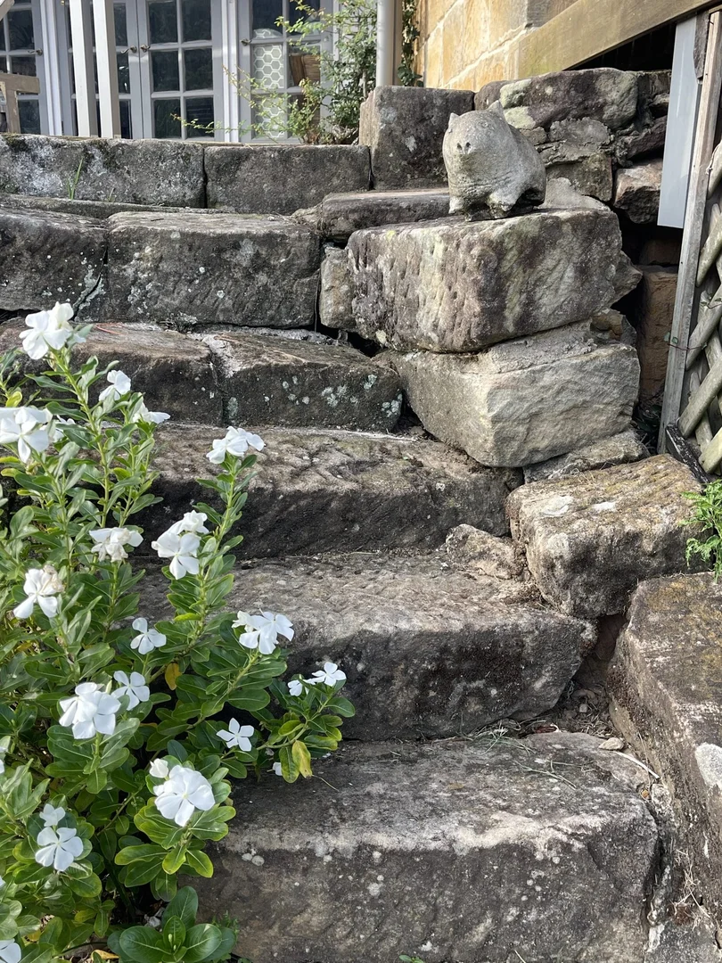 Additional image 23 of 250A Wollombi Road, St Albans NSW 2775