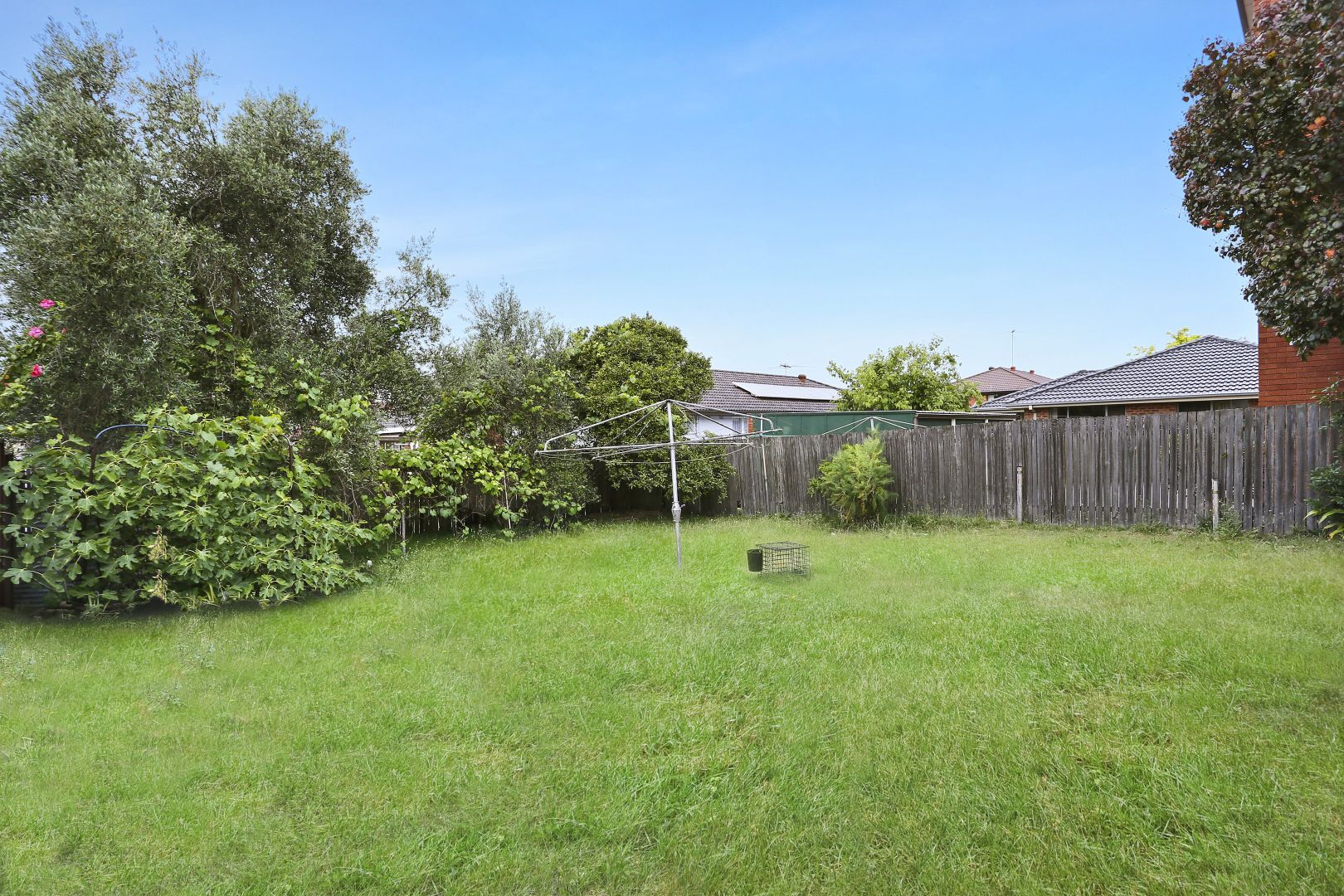 213 Bunnerong Road, Maroubra NSW 2035, Image 1