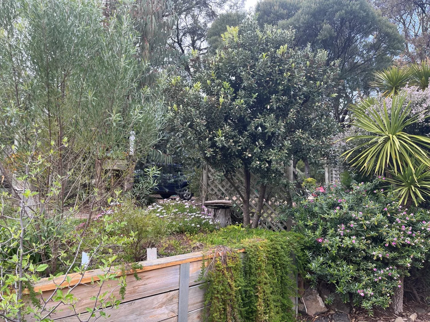 Image 18