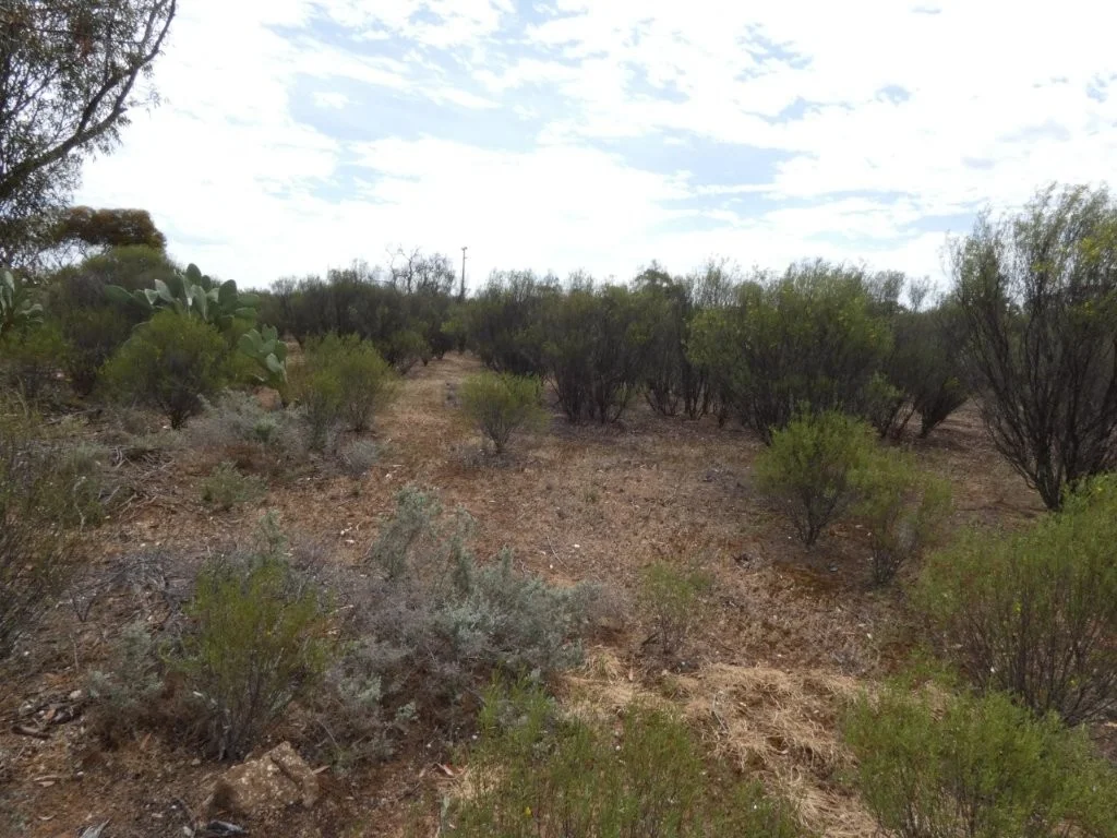 Image 8
