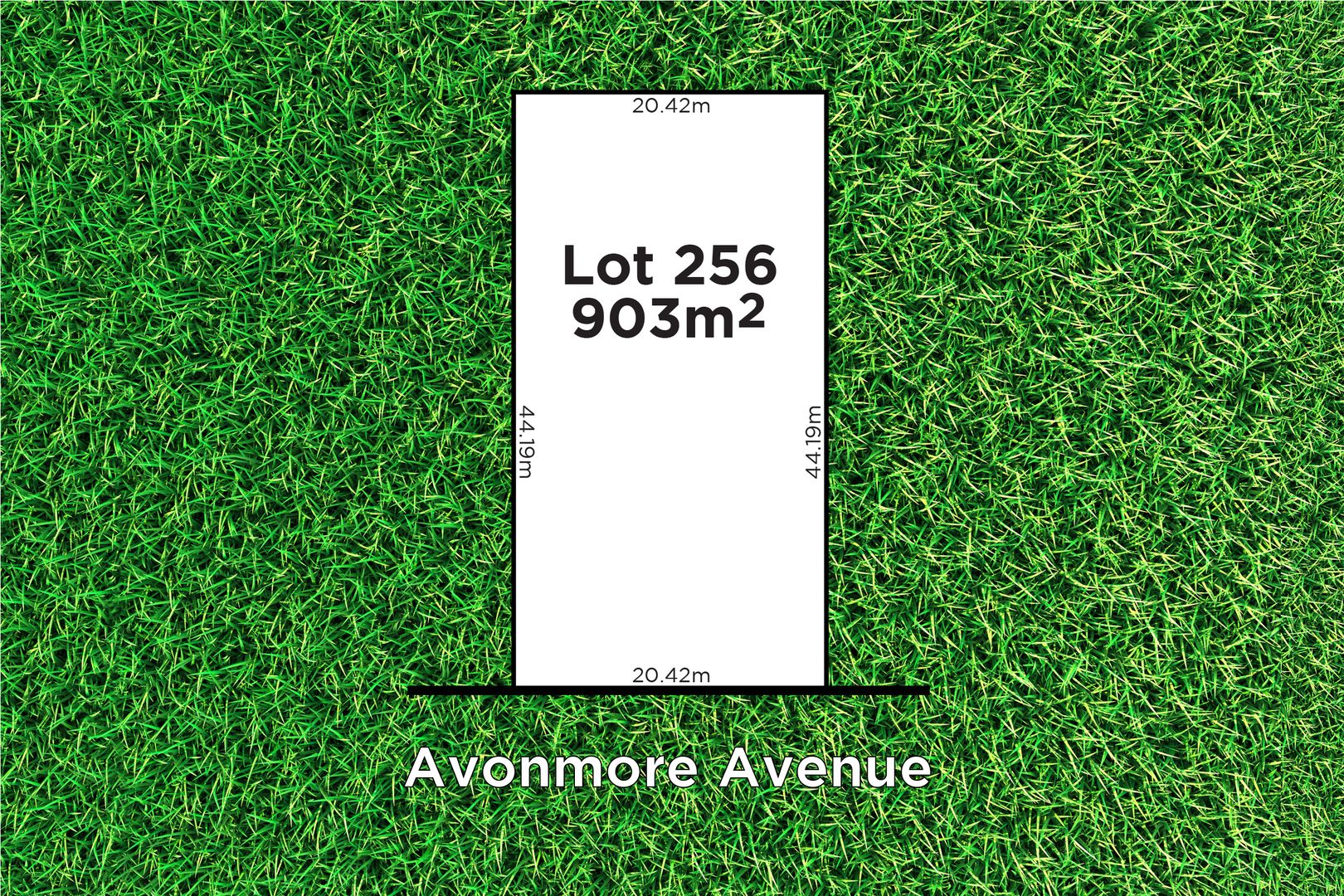 44 Avonmore Avenue, Trinity Gardens SA 5068, Image 1