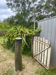 Image 16