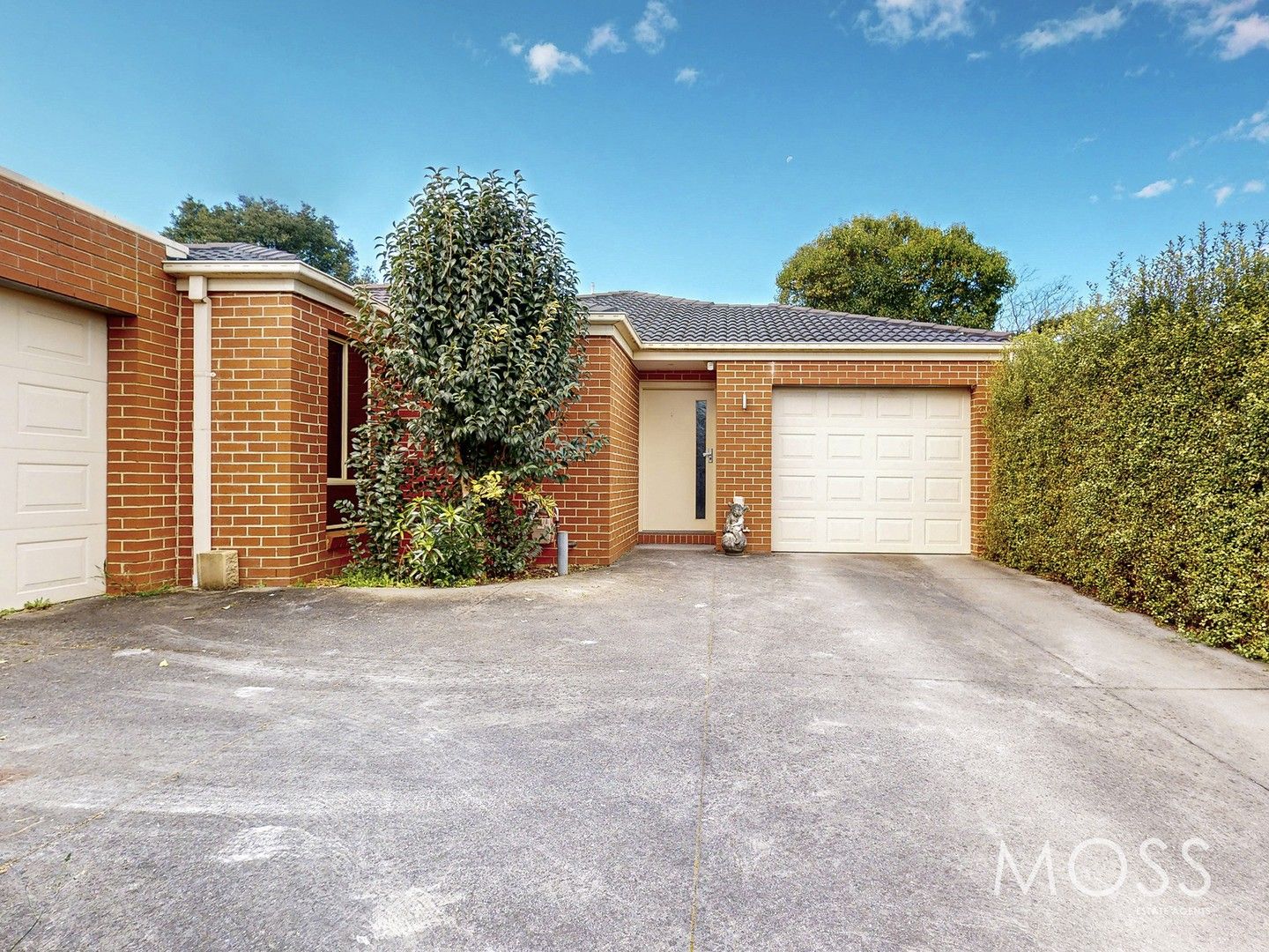 2/12 Maple Street, Box Hill VIC 3128, Image 0