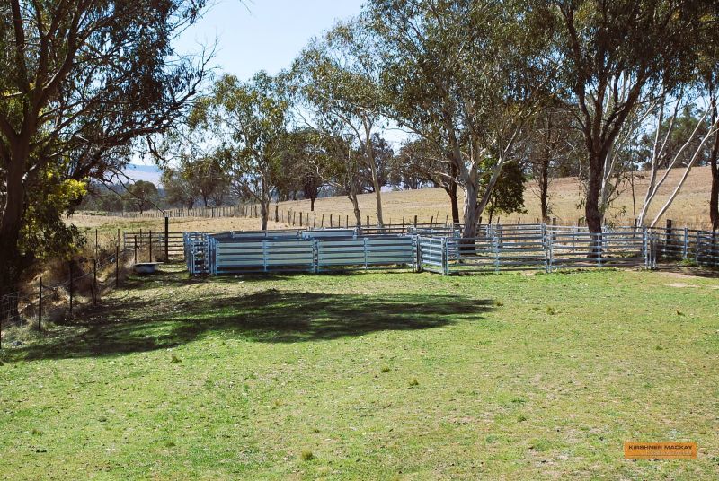"The Top Paddock" Bairds Crossing Road, Dalgety NSW 2628, Image 0