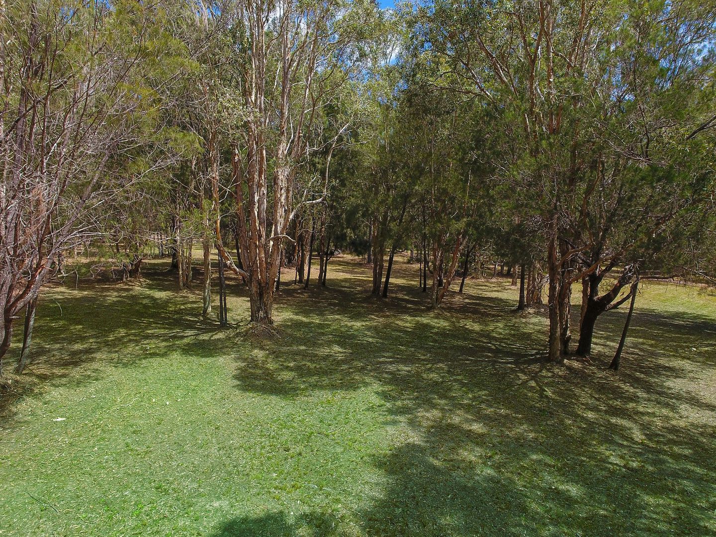 Lot 1, 24 Yatama Place, Cooroibah QLD 4565, Image 2