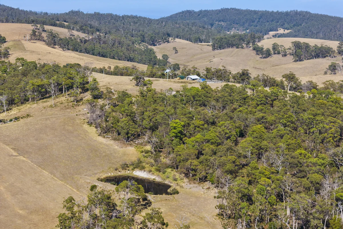 Image 14