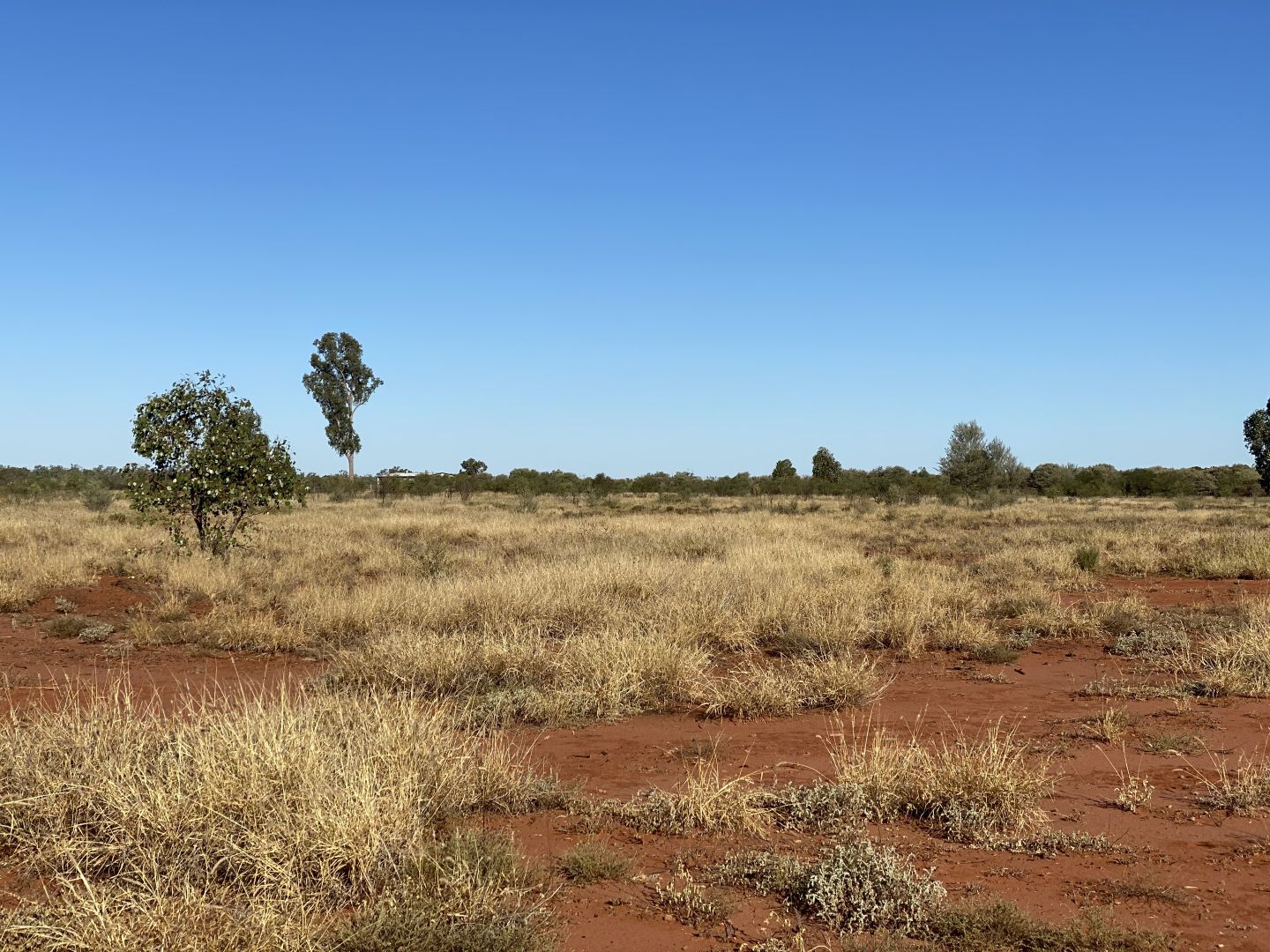 220 Albert Park Road, Charleville QLD 4470