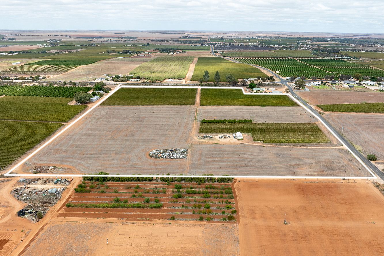 49 Dorsch Avenue, Loxton SA 5333 Vacant Land for Sale 295,000