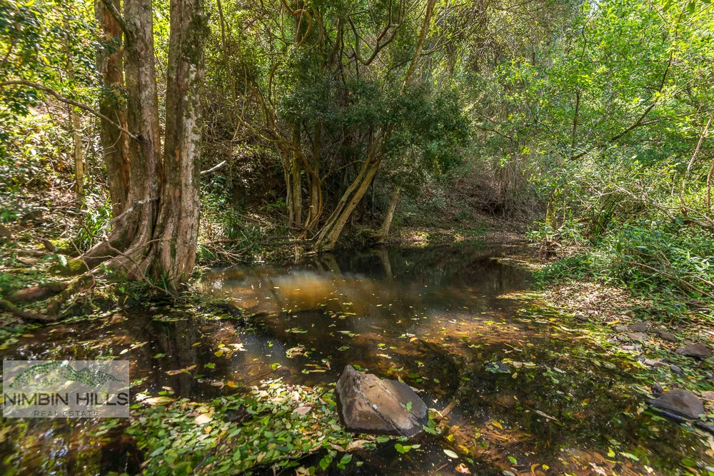 Image 10