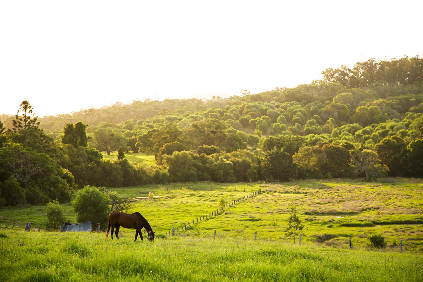 Lot 1/52 Maryborough Biggenden Rd, Thinoomba QLD 4650, Image 2