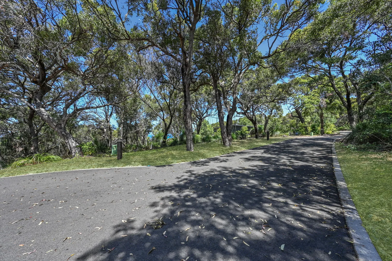Image 9