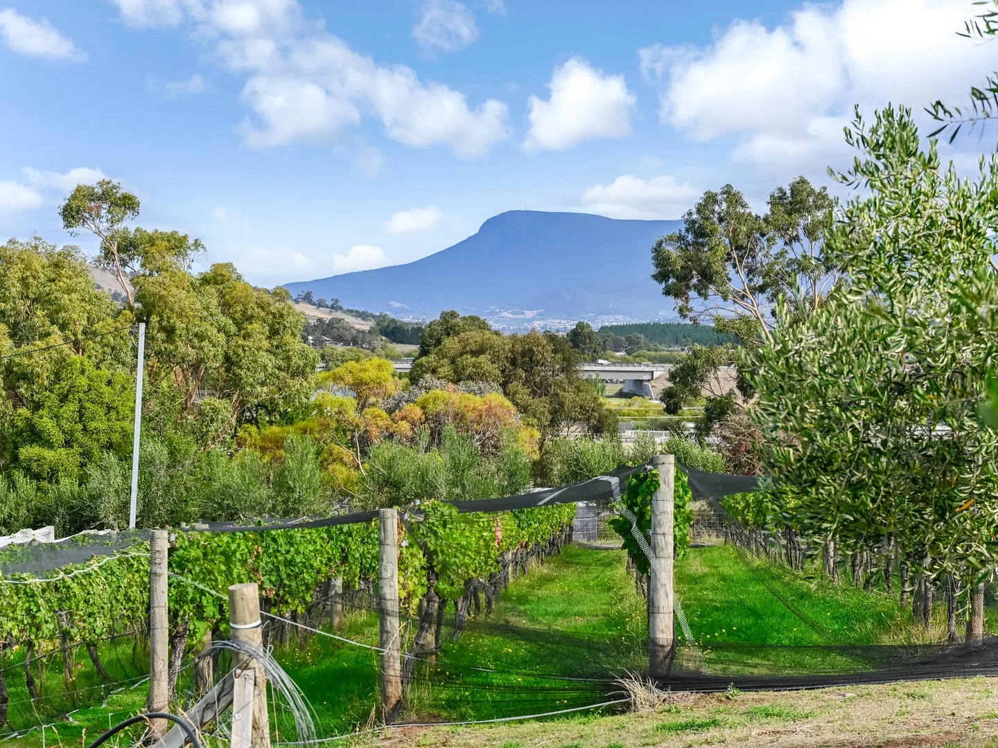 Additional image 5 of 173 Tea Tree Road, Brighton TAS 7030