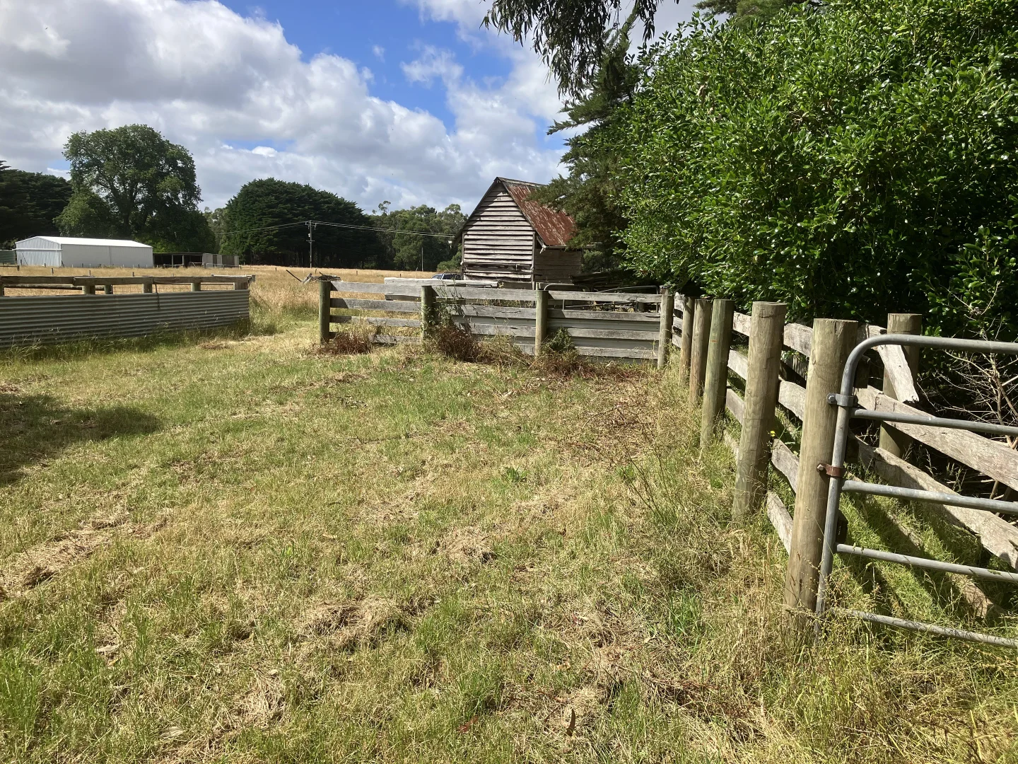 Image 12