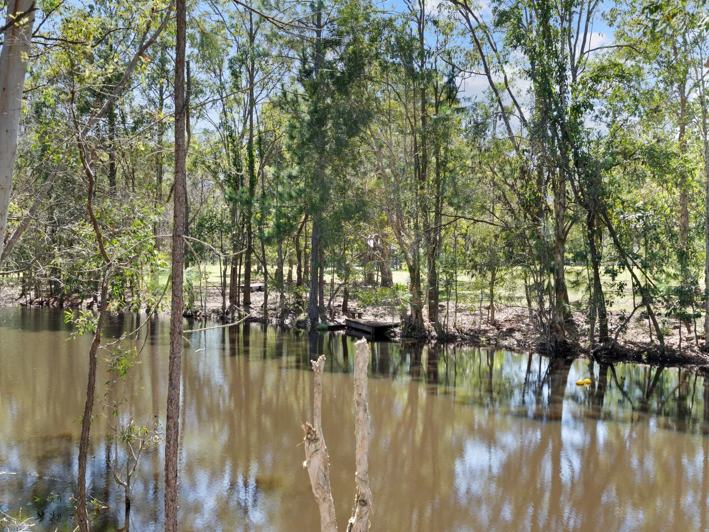 Additional image 38 of 279 Newlands Road, Wamuran QLD 4512