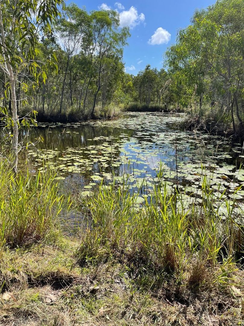 LOT 13 MIDGE POINT ROAD MIDGE POINT, Midge Point QLD 4799, Image 1