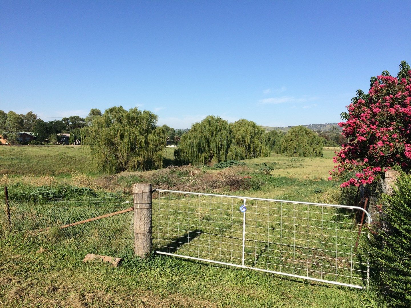 Lot 1 Vennacher Street, Merriwa NSW 2329, Image 0