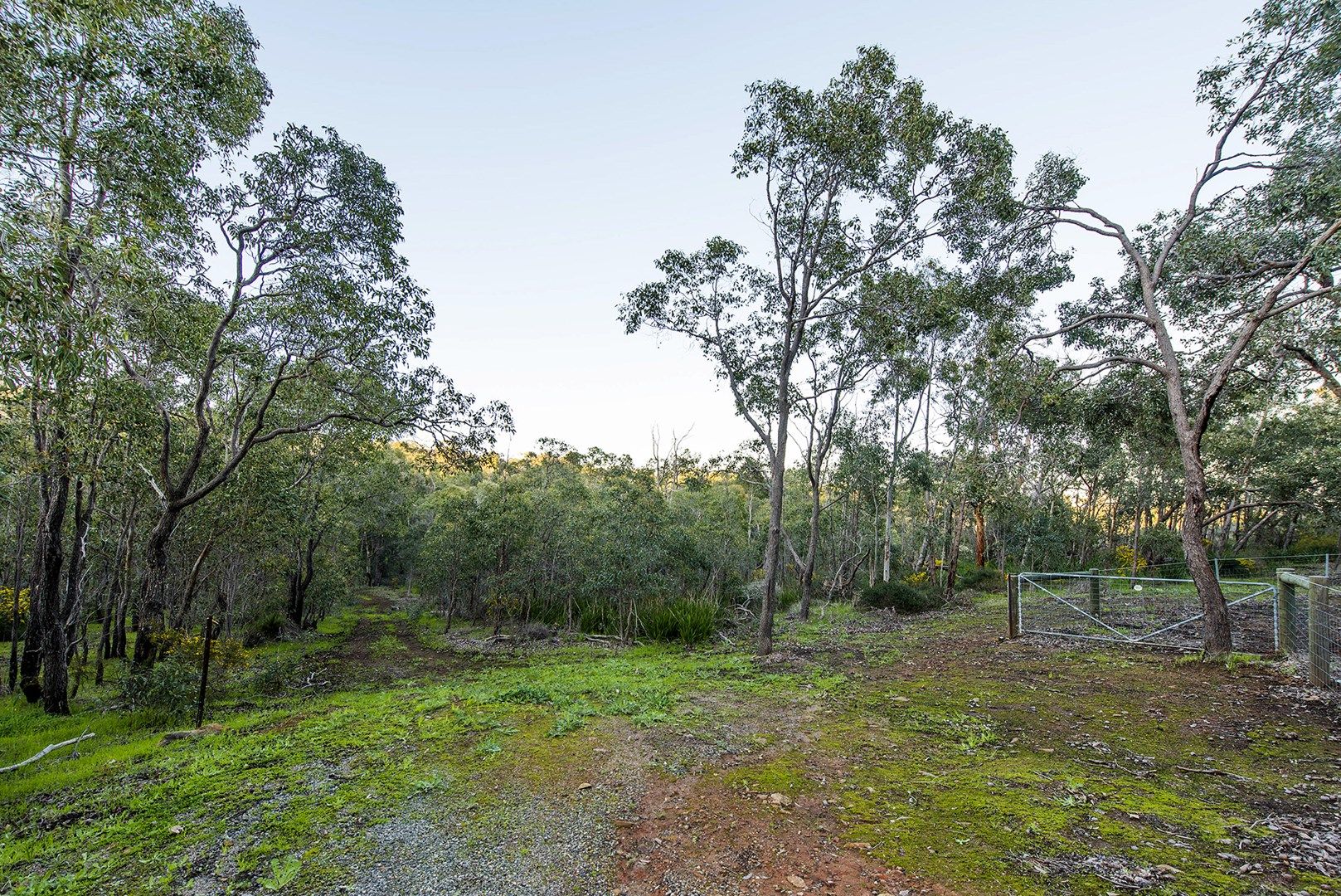 7 Summerfield Place, Gooseberry Hill WA 6076, Image 0