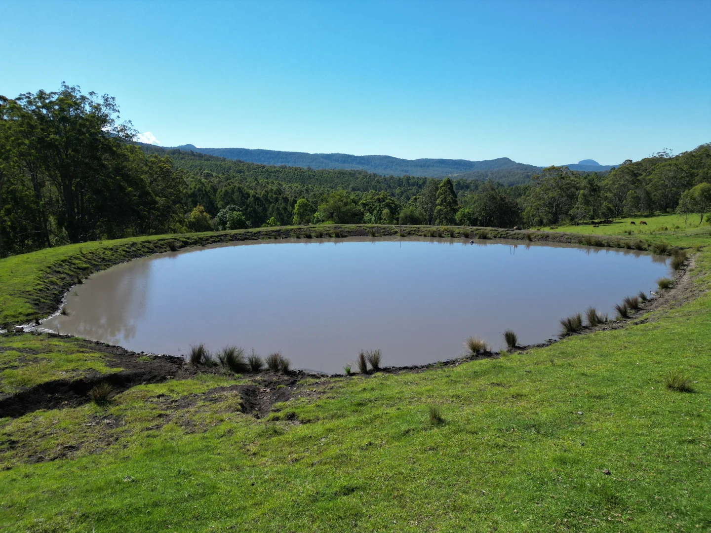 Additional image 7 of Lot 40 Joes Box Road, Yabbra NSW 2469