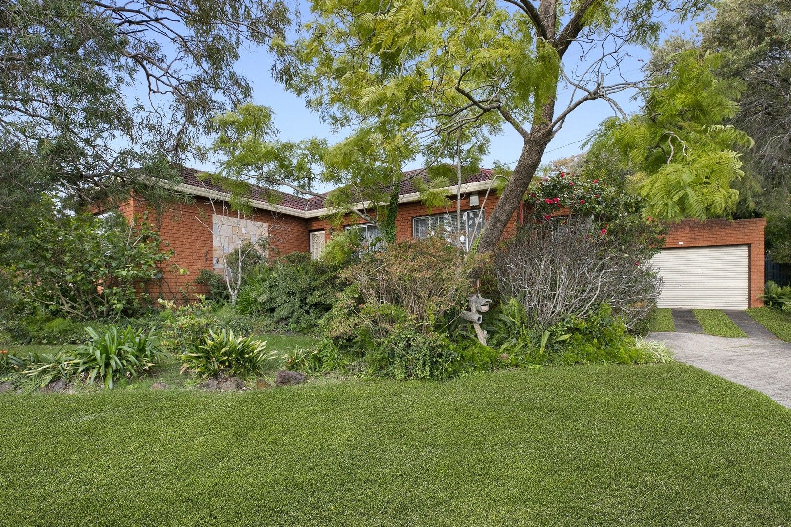 3 bedrooms House in 11 Berkeley Street PEAKHURST HEIGHTS NSW, 2210