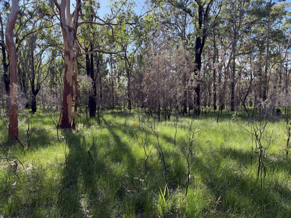 Image 9